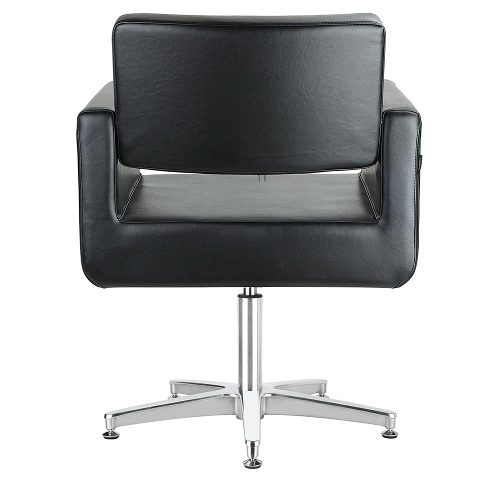 4120-dana-salon-chair-back