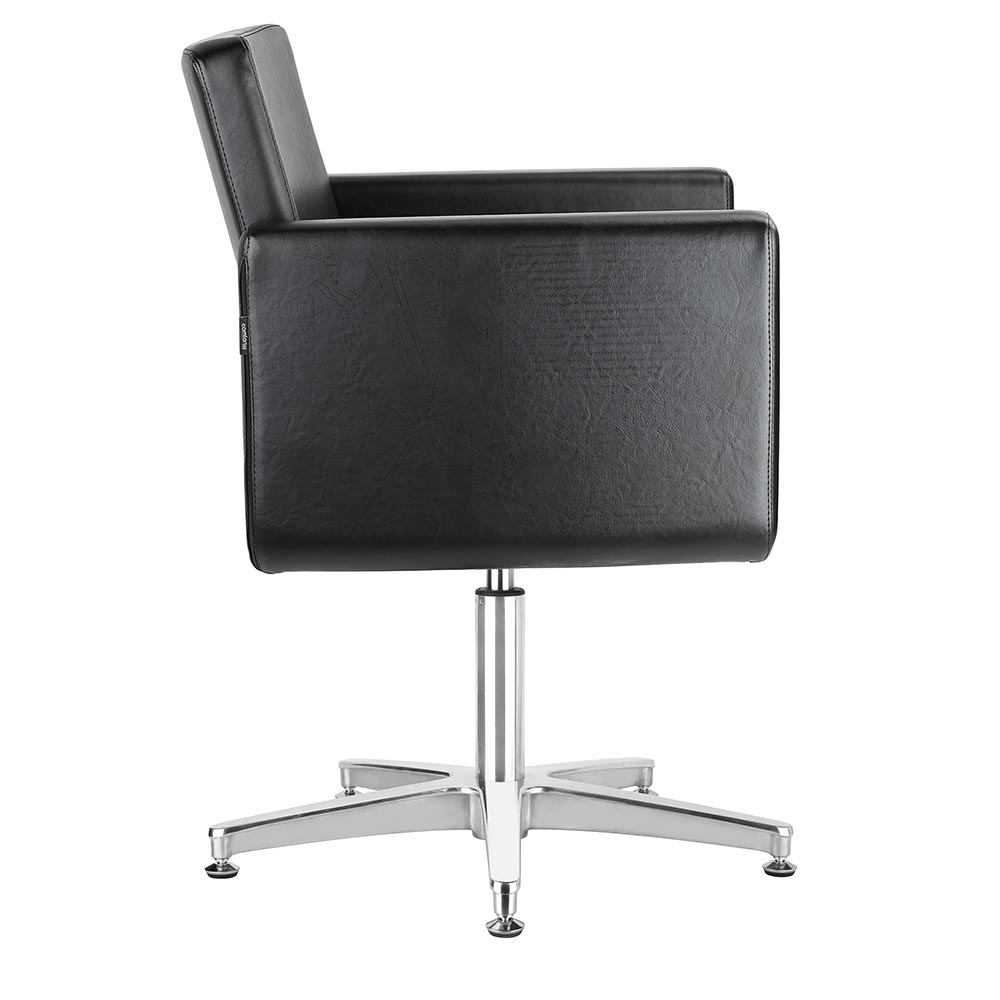 4120-dana-salon-chair-side